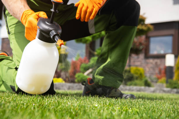 Best Affordable Pest Control Services  in Alva, FL
