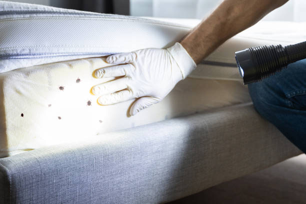 Pest Prevention Services in Alva, FL