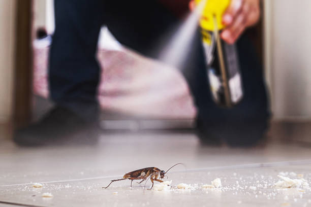 Best Residential Pest Control  in Alva, FL